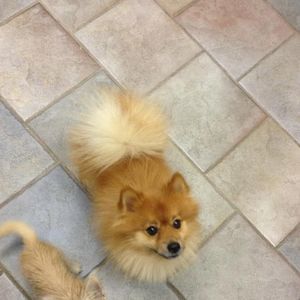 Meet your Posher, Lori